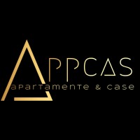 Appcas Consulting logo - Similar company to 7Enius
