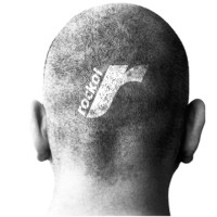 Rockol logo - Similar company to Ondarock