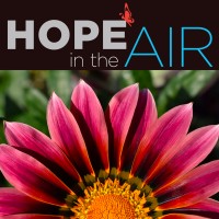 HOPE in the AIR logo - Similar company to Viocity Group