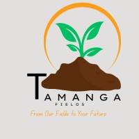 Tamanga Fields logo - Similar company to National Council For Curriculum & Assessment