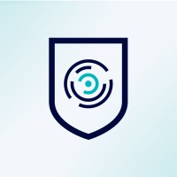 CyberSpara Inc logo - Similar company to Pal