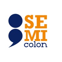 semicolon logo - Similar company to Covaluse