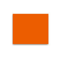 Ditschler Seminare & Verlag logo - Similar company to Insitu Software Gmbh