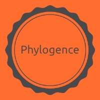 Phylogence