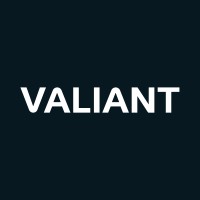 Valiant Digital logo - Similar company to Webprofits