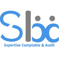 SLBC Rhône-Alpes logo - Similar company to Digibees Conseils