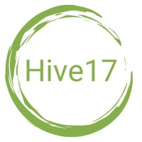 Hive17 Consulting Pte Ltd logo - Similar company to Litigation Legal Insight Experts