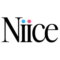 Niice Studio logo - Similar company to Agaati