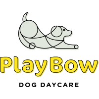 Playbow Dog Daycare