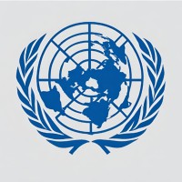 Young Leaders Conference Model United Nations (YLCMUN) logo - Similar company to Cxb Hub