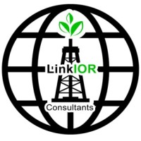Linkior Consultants logo - Similar company to Mg Validaciones