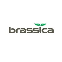 BRASSICA PHARMA PVT. LTD. logo - Similar company to Anuh Pharma Ltd