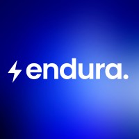 endura logo - Similar company to Groupsolver