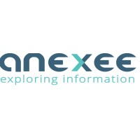 Anexee logo - Similar company to Rj Consulting Technologies