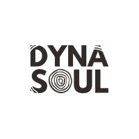 DYNA SOUL SOLUTIONS logo - Similar company to Yourcans