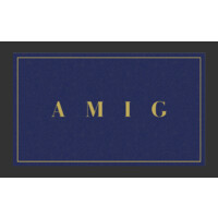 AMI GROUP INDIA logo - Similar company to Adkor Realty