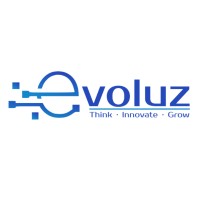 Evoluz Global Solutions logo - Similar company to Camber Dynamics