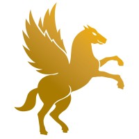 Pegasus Wealth logo - Similar company to Pegasus Planning