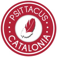 Psittacus Catalonia SL logo - Similar company to Psittacus By Steamvidya Education
