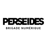 Perséides Brigade Numérique