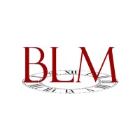 BLM International Limited logo - Similar company to Intelligible
