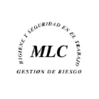 MLC CONSULTORA logo - Similar company to Eig Engineering Consulting Llc