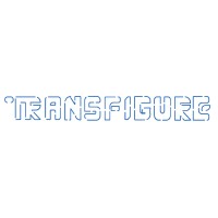 Transfigure logo - Similar company to Lex Res Data Science & Analytics Pvt Ltd