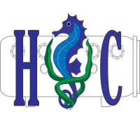 HYPERBARIC CONSULTING LLC logo - Similar company to Hbot Revolution