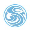 Surge Bangladesh logo - Similar company to Green Hr Foundation