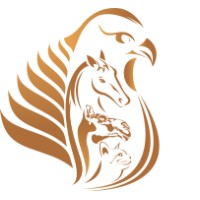 Al Rawdah Veterinary Clinic logo - Similar company to National Bags Factory