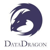 Data Dragon logo - Similar company to Fly This Weekend