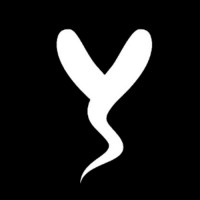 The Y Chromosome logo - Similar company to The Under18
