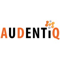 Audentiq logo - Similar company to Csols Ltd