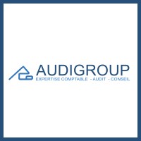 AUDIGROUP logo - Similar company to Ml Experts