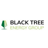 Black Tree Energy Group logo - Similar company to Deeptechsolutions