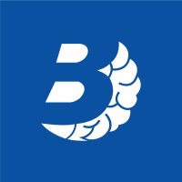 Brainlabs logo - Similar company to Brainlabs Info