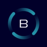 Balanced Network logo - Similar company to Icon Foundation