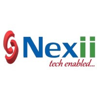 Nexii Consulting Solutions logo - Similar company to Ibst