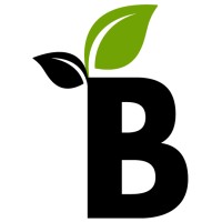 Bloom Talent Solutions logo - Similar company to Braveview, Inc.