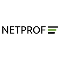 NetProf logo - Similar company to Mercury Computer Business Solutions