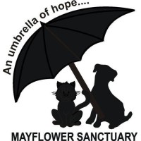Mayflower Sanctuary Limited logo - Similar company to Hope Pastures