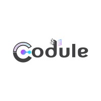 codule logo - Similar company to Rep In