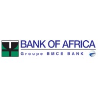 BANK OF AFRICA - BOA SERVICES INTERNATIONAL logo - Similar company to Sol-Fin
