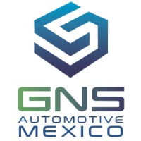 GNS Automotive Mexico logo - Similar company to Nedec Mexico