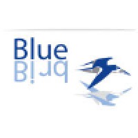 BlueBird logo - Similar company to Scg Solutions - Greater Manchester