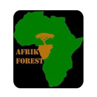 Afrik Forest logo - Similar company to Cameroon Timber Export Sarl