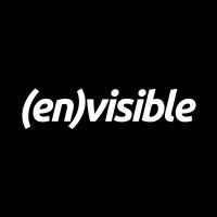 Envisible logo - Similar company to True Grade