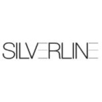 Silverline Group logo - Similar company to Silverline Development, Llc