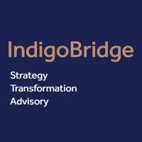 Indigo Bridge Pty Ltd logo - Similar company to Big Consulting