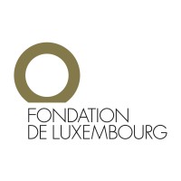 Fondation de Luxembourg logo - Similar company to Aide À L'Enfance De L'Inde Et Du Népal (Aein)